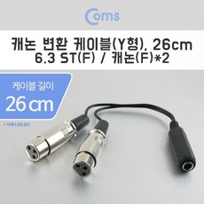 스토닉오디오짹