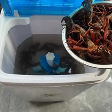 해산물 조개 세척기 씻기 바지락 가리비 업소용 해감