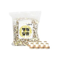 에스이알