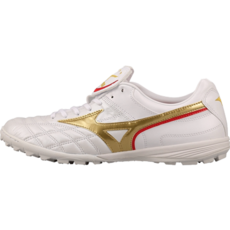 모렐리아웨이브