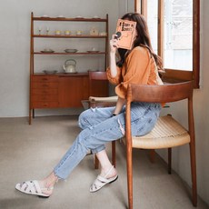 디스트로이드진