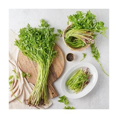 청도특산 무농약재배 미나리 2kg, ONE COLOR, ONE SIZE