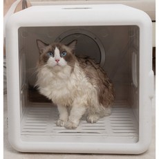 강아지 고양이 펫드라이룸 소형견 건조 드라이기 박스, H1(55L) 800W UV, 1개