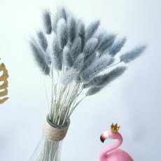 버니테일포푸리