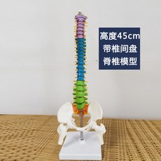 노노보이