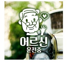 자동차운전전문강사