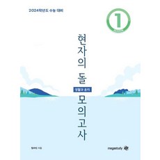 현자의돌 TOP01