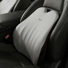 카니발티비거치대