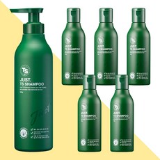TS 저스트 티에스 샴푸 500g 1개+100ml 5개/기능성 샴푸, 1개
