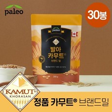 하프클럽/팔레오M팔레오 발아 카무트 280g30봉, 280g
