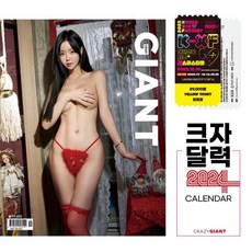크레이지플라이트 TOP01