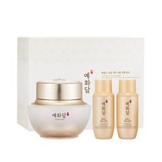 더페이스샵 예화담 환생고 윤설 기미 크림 기획세트 (50ml), 1세트