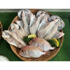 옥돔 참돔 우럭 반건조우럭 6미 제수용 차례용 선물세트 프리미엄 반건조생선셋트, 1개