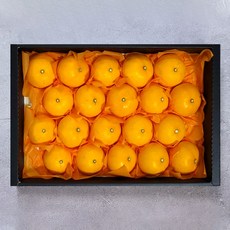 [식품의즐거움] 제주천혜향 선물세트 4.5kg(소과), 1개