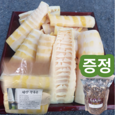 거제도죽순