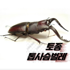 332c2b4c0514446b551a5af3e03b9f07d54a2bb65be30d93f32af132a2ee.png