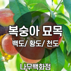 1af2477cf1f18d89c43f2c8ccd4af6720b47adeae248d507af4e58973b87.png