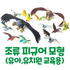 어류탐험