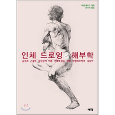 디지털일러스트를드로잉인체해부학