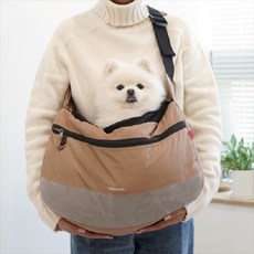 루이독슬링백