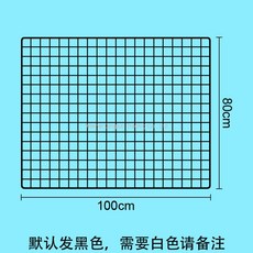 100메쉬망