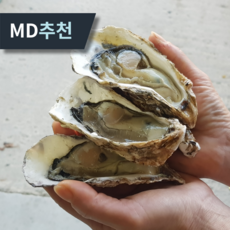 최상품 세척 석화 굴 일품 각굴 산지직송, 1박스, 1kg