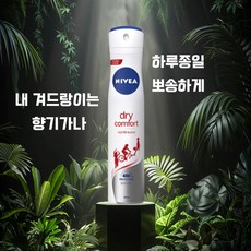 니베아 데오드란트 스프레이 콤포트 드라이 휴대용 뽀송한 겨드랑이 관리, 200ml, 1세트