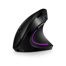 YPPY 무선 버티컬 마우스 인체공학 손목보호 무소음 USB 2G, 블랙