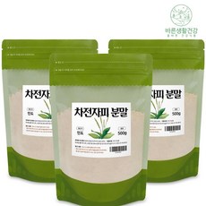 바른생활건강 차전자피 가루 분말 차전자피식이섬유 먹는법 질경이껍질분말, 3팩, 500g