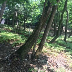 c2d68c4d4933962ecac03b8b6c6ded610f52dea6e1da9333adf9d2ba09ed.jpg