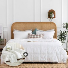 소프라움여름구스