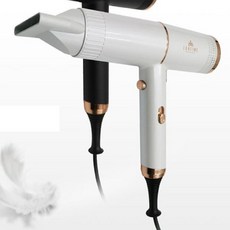 라헨느 더 퀸 티스타일 초경량 헤어드라이기