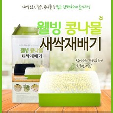 어린이학습용콩나물키우기