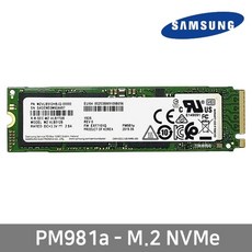 pm981