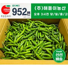 <해돋이농산> 국내산 못난이 햇 청양고추 매운고추 상품 10kg (1박스), 못난이 청양고추 10kg 상 1박스, 1개’ /></div>
<div style=