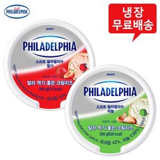 필라델피아큐브치즈