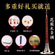 트럼펫 초보자 성인 입문 전문 붉은꽃 d음조태평소 악기 레드화이트 경사 전체세트 증정피스, T02-자단나무 D조(플라스틱 피리 5개+갈대 피리 3개+마우스피스케이스+강좌 책)
