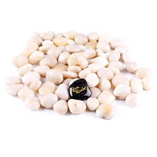 로키 아스펙트 11 LB 고도로 세련된 파종기 화병 테라리움 정원 야외 강 바위 자갈 조경 3 4 