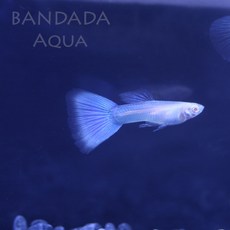 7d9a532a585a9cb66d156821dc52c6f8d06bdd8c8420da47e934fe896976.jpg