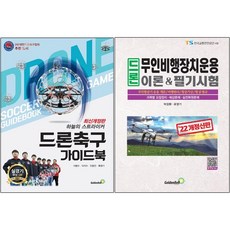 비행이론