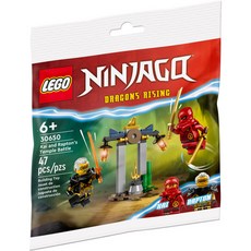 LEGO 30650 - 카이와 랩톤의 사원 전투 / 레고 닌자고