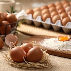 풀무원구운계란