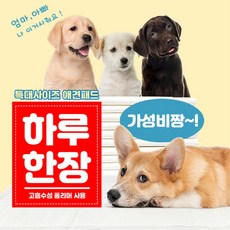 대용량 애견패드 140cmx100cm10매입, 상세 설명 참조, 상세 설명 참조 - 노부담배변패드