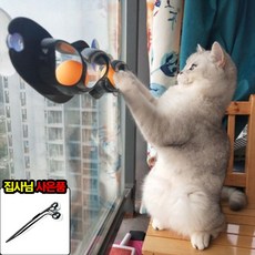 혼자있을땐 고양이 장난감, 1개, 참고