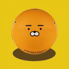 라이언농구공 TOP01