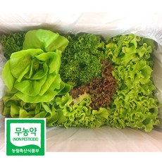 무농약 유럽 샐러드 채소 모듬 쌈 야채 깨끗한 수경재배 600g, 1개