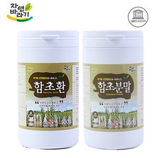 신안애 자연바라기 함초환500g+함초분말500g, 2개