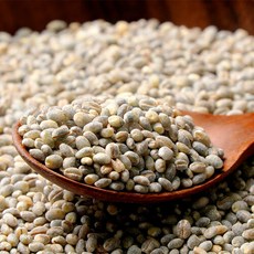 추천3가파도청보리축제