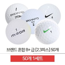 [레드캣하우스] 골프연습공 브랜드 혼합 화이트 B+급 2.3피스 50개 (JS048) a practice golf ball RCH039, 로스트볼 혼합 50개