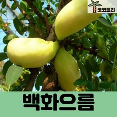 7ceb2406a46b1b2c4c0401bb0ab8df36a0e00ad1b64abb8b531a2c72a9b3.jpg